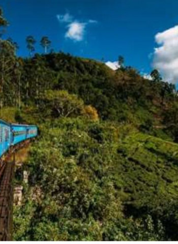 Colombo-Gampola train services resume after 10 months