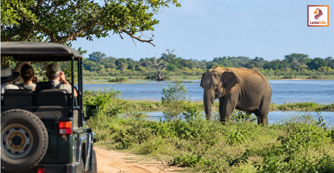 Yala Zones 1, 1A reopen Friday after drought closure