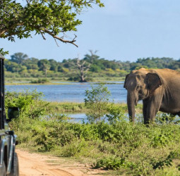 Yala Zones 1, 1A reopen Friday after drought closure