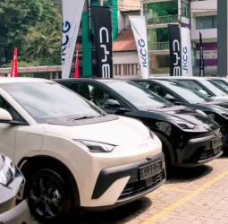 BYD Kandy Achieves 1,000 Vehicle Deliveries and Services