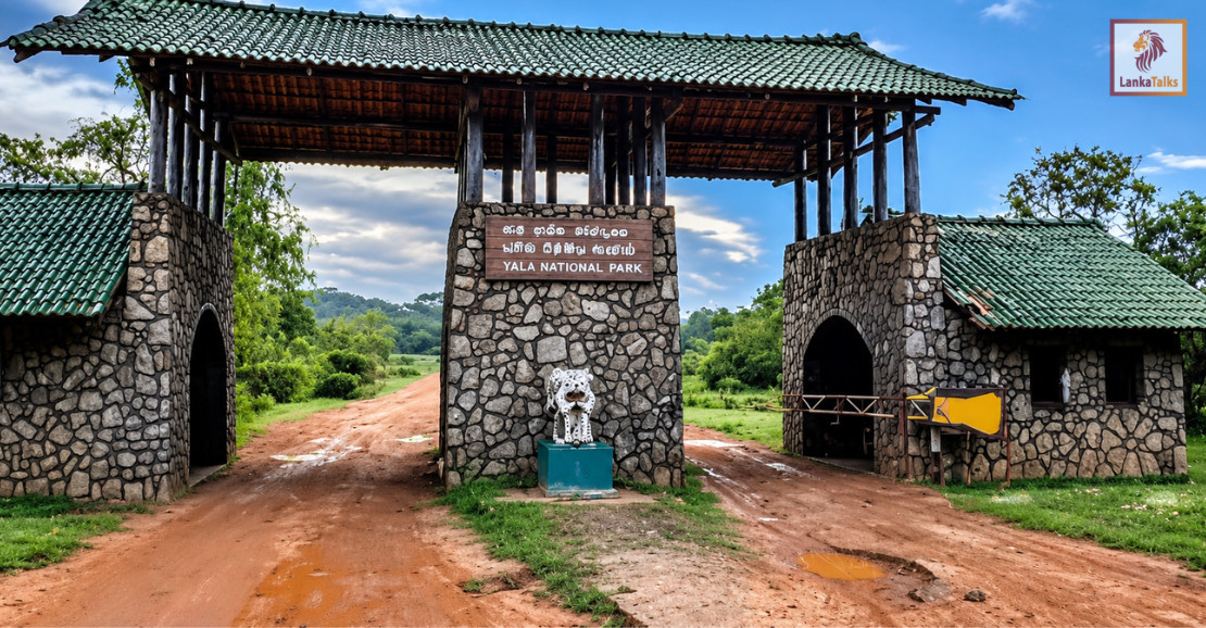 Yala National Park Blocks 1 and 2 to reopen on 16 October