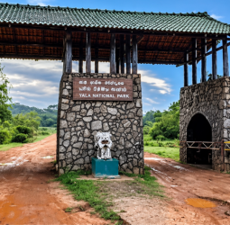 Yala National Park Blocks 1 and 2 to reopen on 16 October