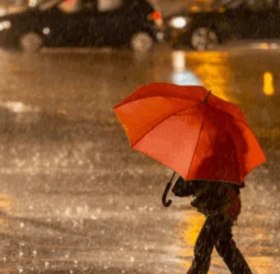 Showers above 75mm expected in several districts today