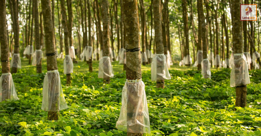 150 years of rubber: A milestone worth celebrating