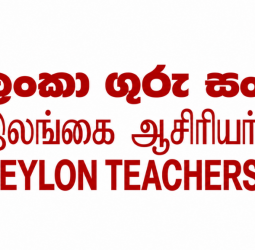 Education Ministry Says: 23,000 teacher recruitment at final stage