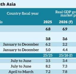 South Asia’s strong growth defies global headwinds
