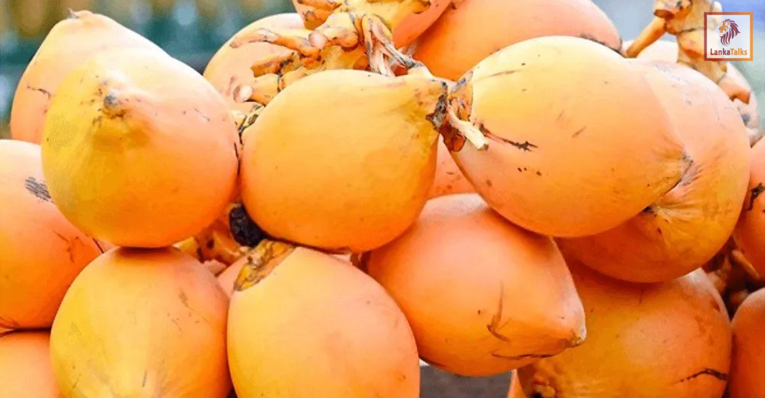 King coconut demand outpaces SL’s supply