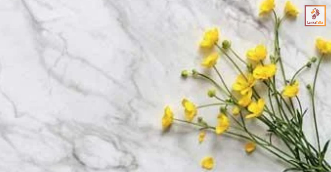 Rocell ‘Starlight’ sets new standard in polished ceramics