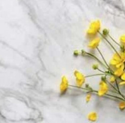 Rocell ‘Starlight’ sets new standard in polished ceramics
