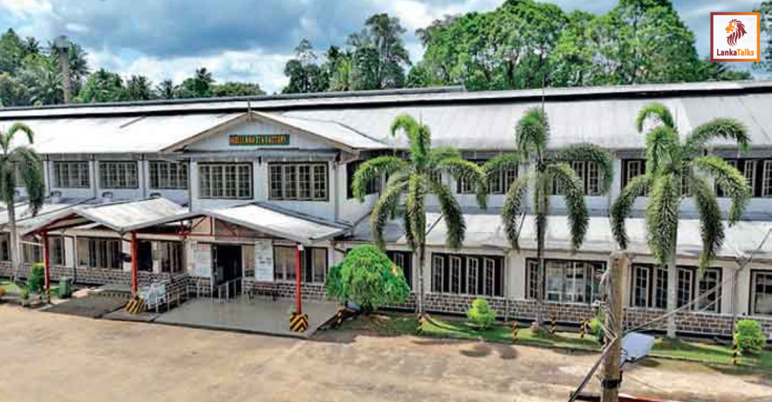 RTS Holdings Tea Factories Avissawella; Hidellana receive global recognition at North American Tea Conference 2026