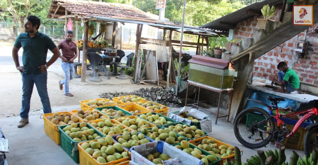 SME loan scheme: CoPF approves supplementary estimate