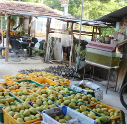 SME loan scheme: CoPF approves supplementary estimate