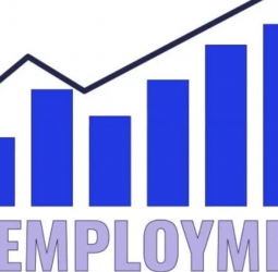 Sri Lanka’s unemployment rate rises to 4% in Q2 2026