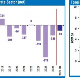 Banks build foreign buffer as private sector keeps cutting offshore debt