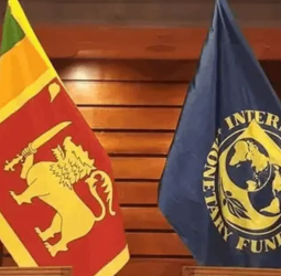 IMF projects Sri Lanka’s economy to grow 4% in 2026