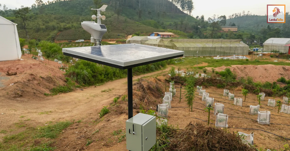 Labour shortages are pushing Plantation Companies towards machines, data and a different kind of worker