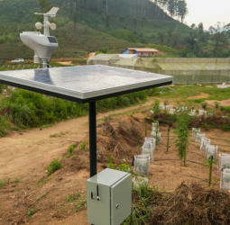 Labour shortages are pushing Plantation Companies towards machines, data and a different kind of worker