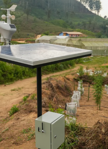 Labour shortages are pushing Plantation Companies towards machines, data and a different kind of worker