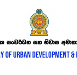 Colombo housing survey launched
