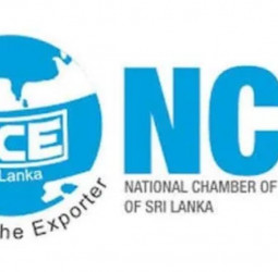 NCE reviews export sector barriers, FX ops
