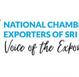 NCE Council reviews export sector barriers and forex opportunities
