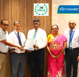 ComBank launches dedicated loan scheme to revitalise Sri Lanka’s tea industry