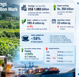 Tea Export Earnings Cross the US$ 1 Billion Mark by September 2026