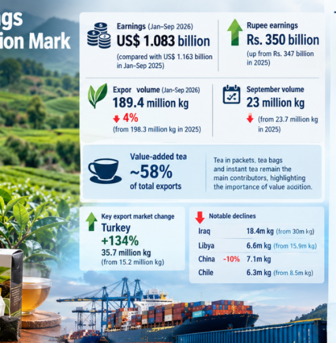 Tea Export Earnings Cross the US$ 1 Billion Mark by September 2026