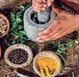 Sri Lanka leans on indigenous healing to grow high-value wellness tourism