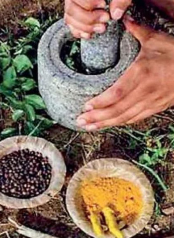 Sri Lanka leans on indigenous healing to grow high-value wellness tourism