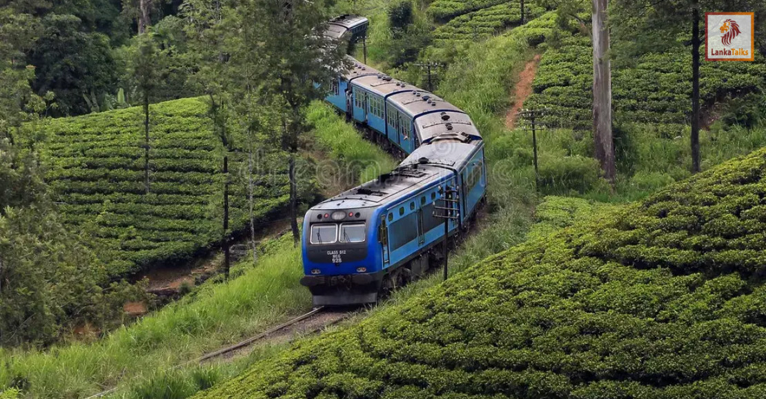 Resuming Upcountry Rail Line: Govt claims decision was a collective one