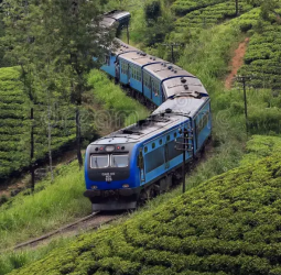 Resuming Upcountry Rail Line: Govt claims decision was a collective one