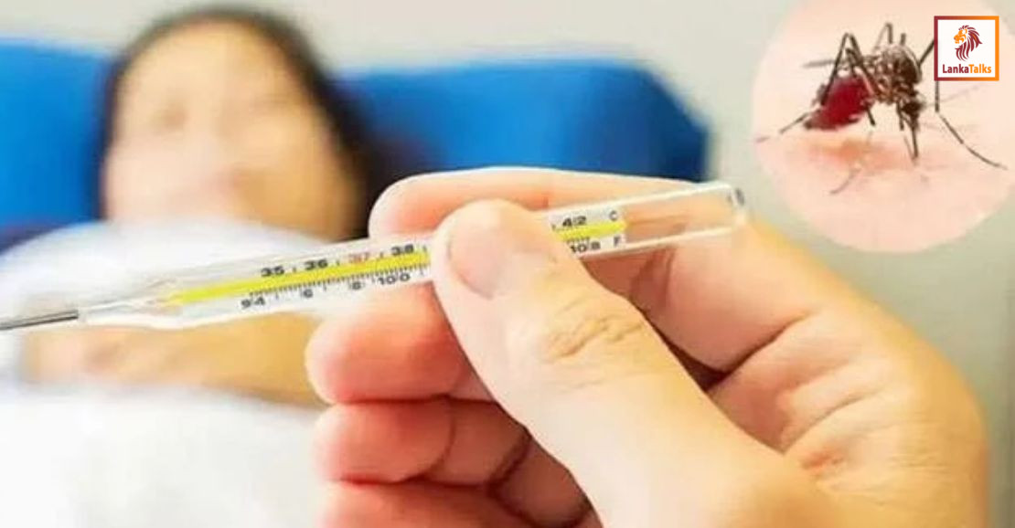 Dengue cases surpass 100,000 in Sri Lanka