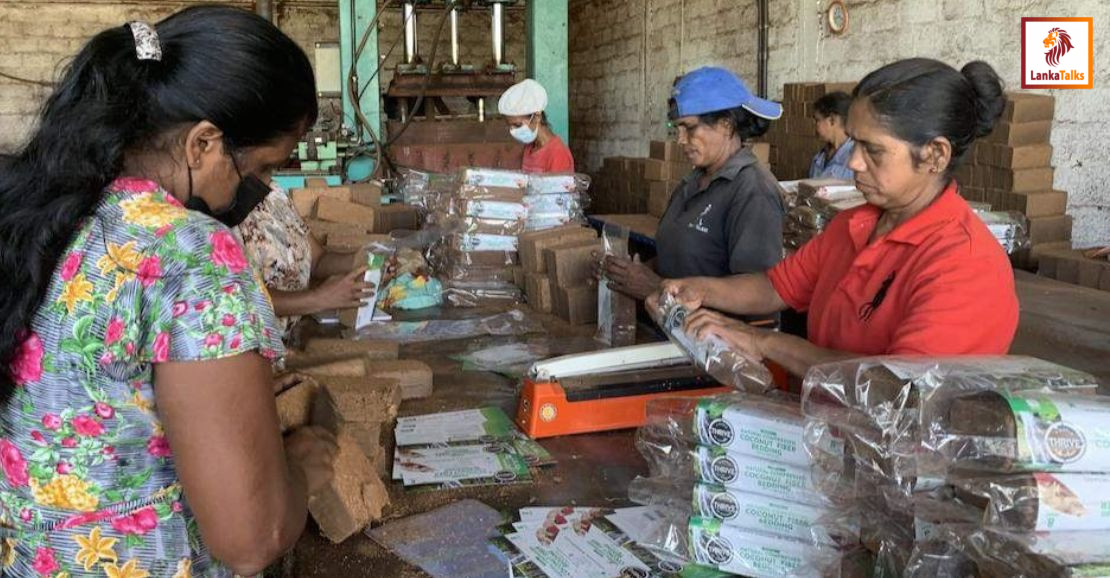 Collateral-free lending: CBSL can enable SME credit expansion