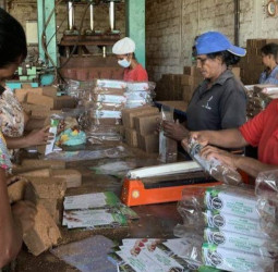 Collateral-free lending: CBSL can enable SME credit expansion