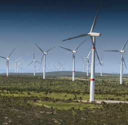 WindForce withdraws Rs 4 b green bond application