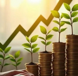 Rupee to strengthen from year-end, deflation seen by mid-2027