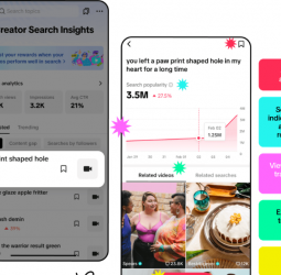 Want to Be the Next TikTok Creator People Are Looking For? Start With Creator Search Insights