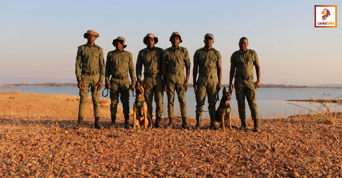 K9 unit flown by Emirates SkyCargo to Zimbabwe begins frontline operations