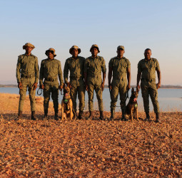 K9 unit flown by Emirates SkyCargo to Zimbabwe begins frontline operations