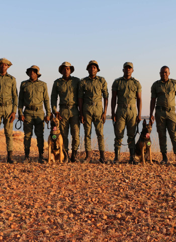 K9 unit flown by Emirates SkyCargo to Zimbabwe begins frontline operations